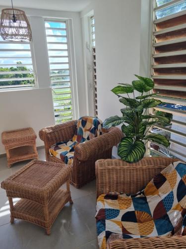 Logement de roots evasions - Location saisonnière - Petit-Bourg