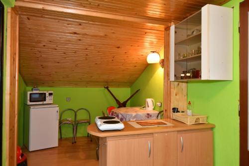 Privat Lujza in Liptovská Osada