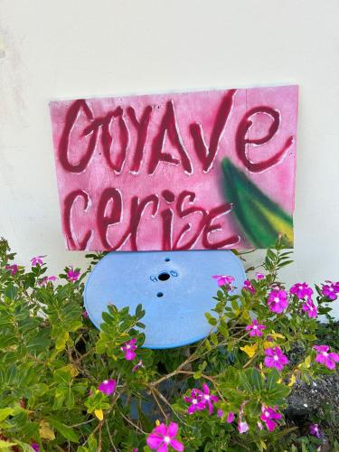 Удобства, Goyave-Cerise in Trois-Rivieres
