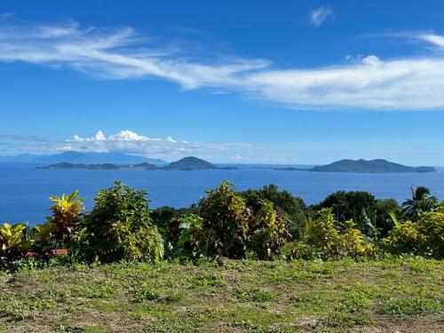 Изглед, Goyave-Cerise in Trois-Rivieres