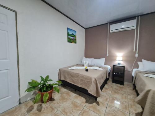 Cabinas Guayabón #5, AC, La Fortuna San Carlos, Fortuna (photo 8)