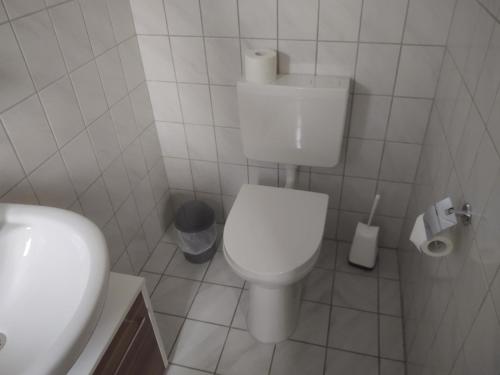 FroschKönig FroschKönig