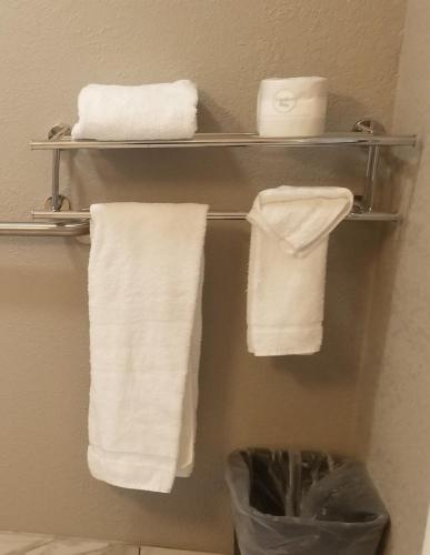 Sacramento Inn & Suites - image 11