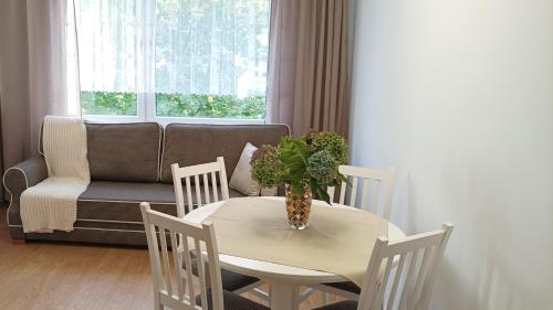 Apartament MAX - Apartment - Mikołów