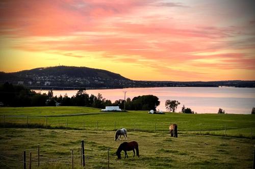 Stuga på hästgård med sjöutsikt (Stuga pa hastgard med sjoutsikt) in Külváros
