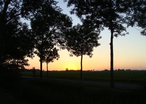 B&B De Pastorie bij Dokkum - image 7