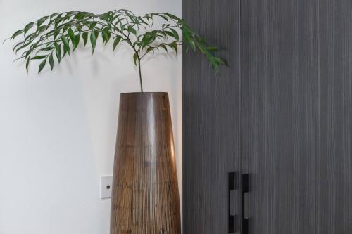 One-Bedroom Apartment image 3