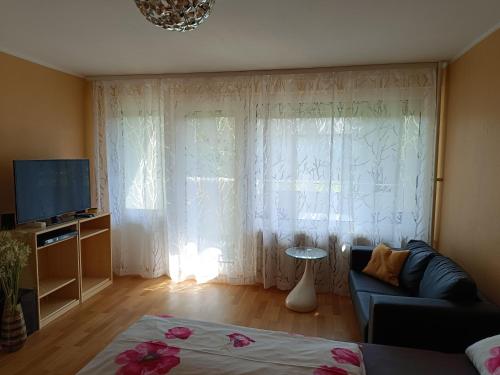 Offenburg Apartment, Offenburg (foto 6)