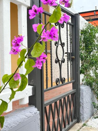  Giuliana´s house by the sea in Tuscany, Ferienwohnung in Torre del Lago Puccini