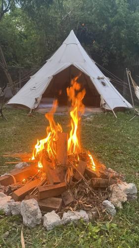 JUSH NATIVE AND GLAMPING