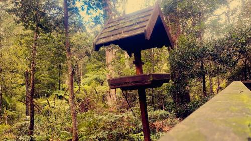 Skats, Woodlands rainforest retreat in Narbethong