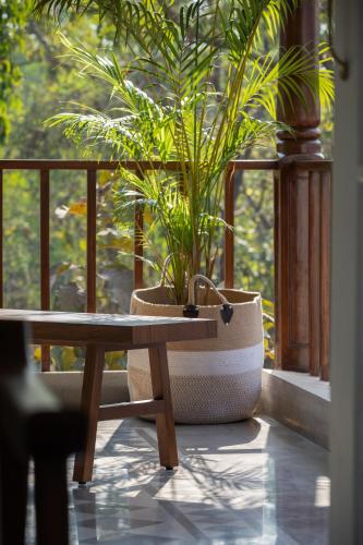 La Mosteiro by The Blue Kite - in Assagao, Splendid 3&4BHK Villas with Private Pool, Private Parking, Garden, Caretaker, Kitchen & Security, Vagator (foto 6)