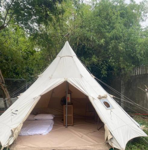 JUSH NATIVE AND GLAMPING