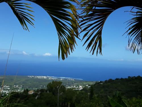 Là Haut-Lé Beau - Location, gîte - L'Étang-Salé