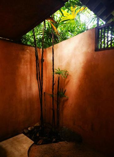 Pai Kiniman Resort Room Type - Deluxe Double Room with Balcony