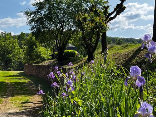 Alrededores, Maison de famille in Figeac