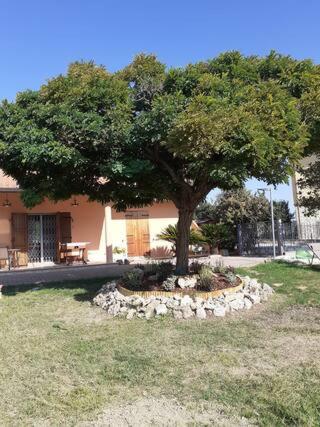 Camera privata in villa con ingresso indipendente e grande giardino, Perugia (foto 2)