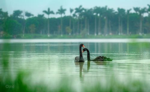 TJ Homstay Ecopark