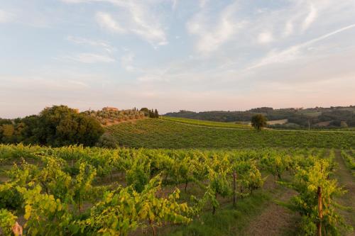 Tenuta Di Monaciano