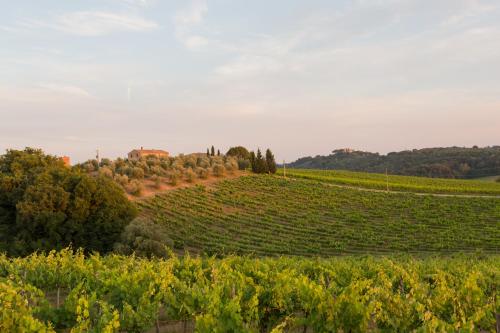 Tenuta Di Monaciano