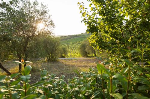 Tenuta Di Monaciano