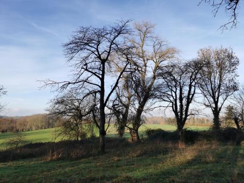 De Groene Hoeve