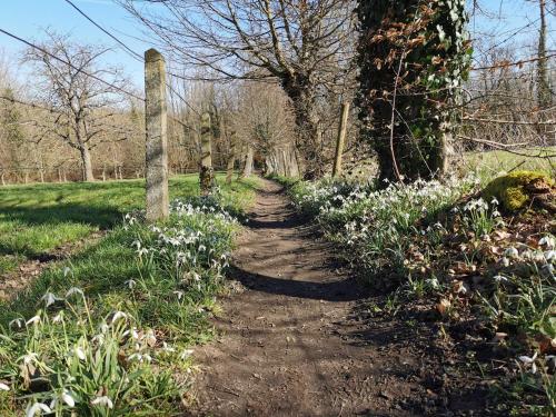 De Groene Hoeve