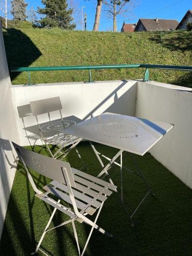 ZenBNB / Léman / Garage /Balcon/ Piscine