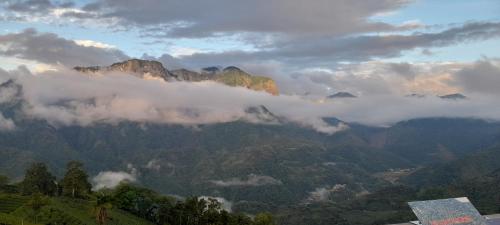 Alishan Shanyunhua BnB Homestay in Meishan Township