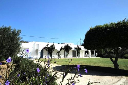 Villa Omega Guest House in Kokkali, Leros - Location saisonnière - Gourna