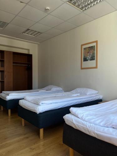 Center Hotel - image 3