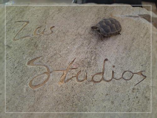 Zas Studios - image 5