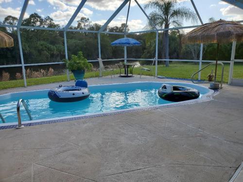 Swimming pool, steve and cori's tropical king suite 2 in North Port (FL)