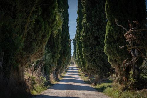 Poggio Delle Ginestre – Orvieto, VT