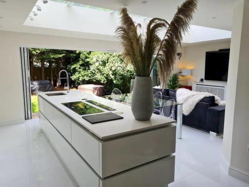 Pass the Keys - Luxury flat with private garden and hot tub in South London