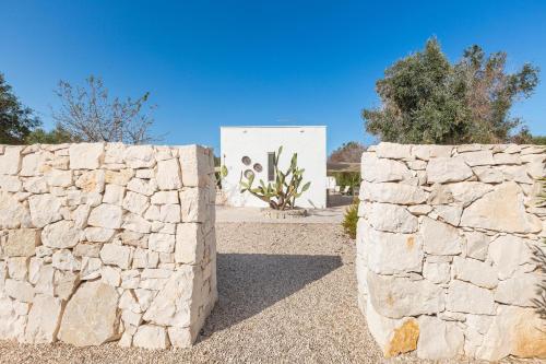 Lamia Madreperla - image 12