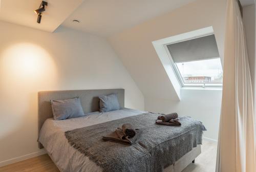 Modern & Spacious House, Courtrai (foto 8)