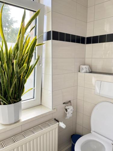 Homeplanet Hostel - image 14