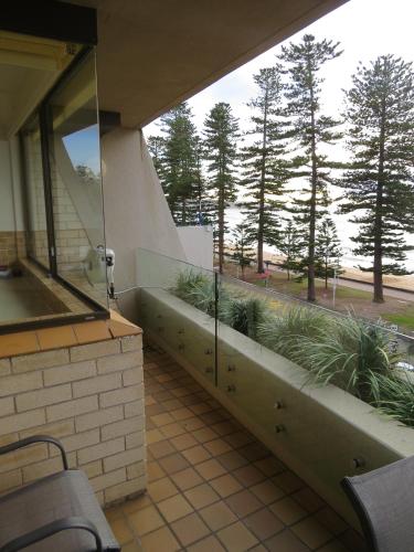 Manly Paradise Motel & Apartments - image 4