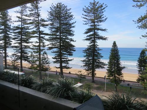 Manly Paradise Motel & Apartments - image 6