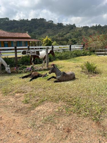 Fazenda do Engenho