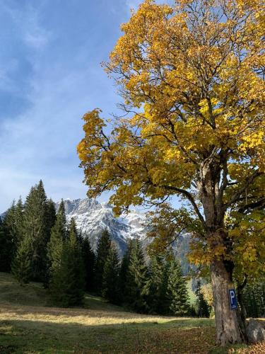 Boutique Hotel Alpenhof