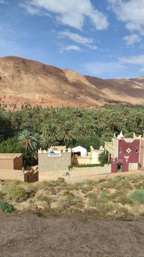 棕榈树宾馆 棕榈树宾馆