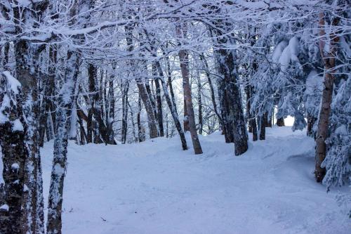 Smugglers Notch Resort Private Suites in Cambridge, USA