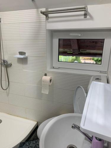 Vila Iulia Vila Iulia