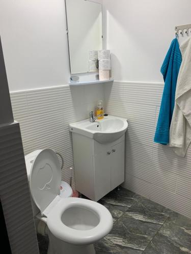 Vila Iulia Vila Iulia