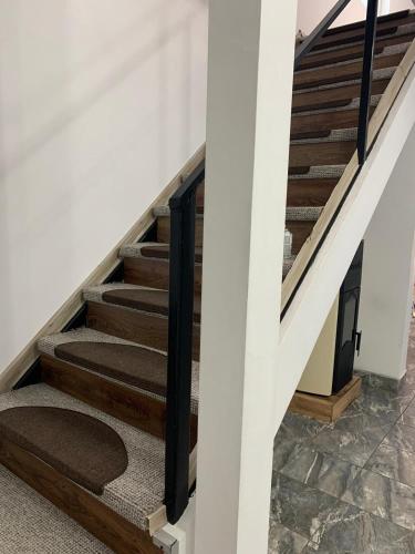 Vila Iulia Vila Iulia