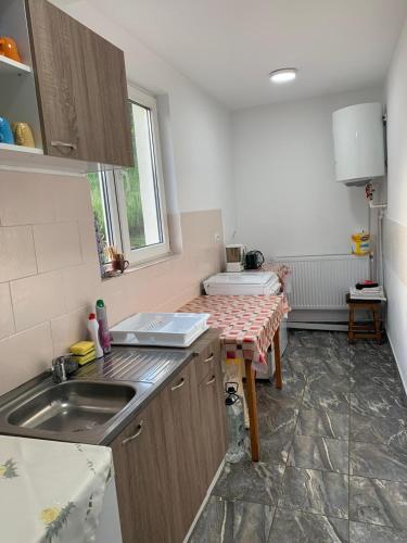 Vila Iulia Vila Iulia