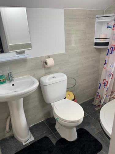 Vila Iulia Vila Iulia