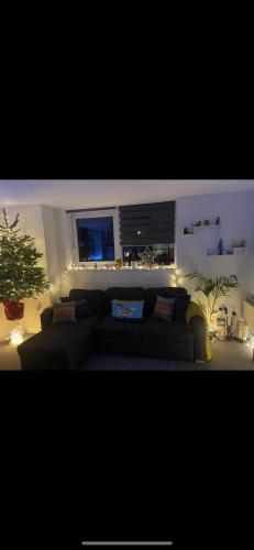 Nice room in Chelsea, Londyn (zdjęcie 6)